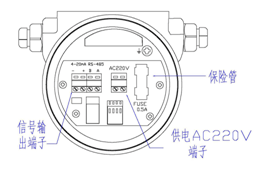 熱式氣體質(zhì)量流量計(jì)(圖9)